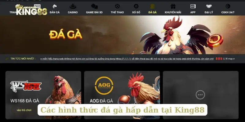 Các hình thức đá gà hấp dẫn tại King88